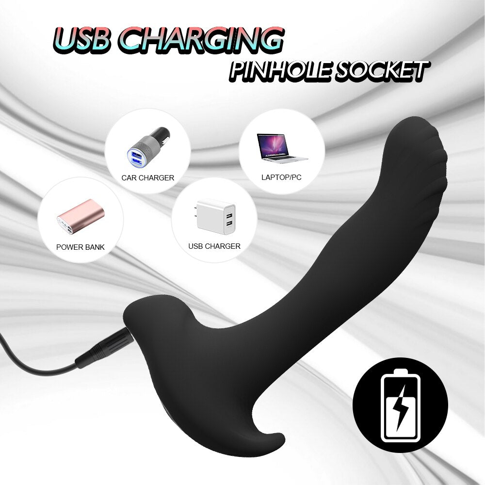 Remote operated Anal plug
