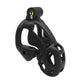 Double-Lock Chastity Device Male Cock Cage